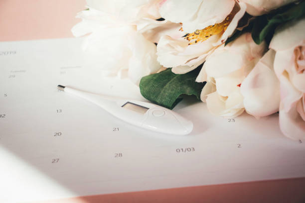 Ovulation Calendar with pink peony and thermometer