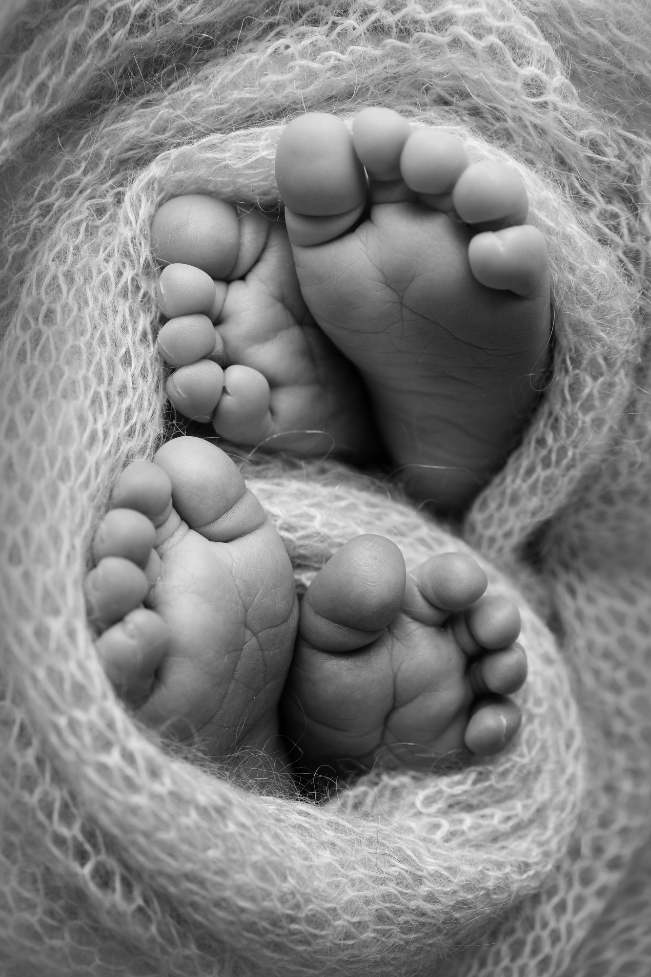 Feet of newborn twins. Two pairs of baby feet in a knitted blanket.