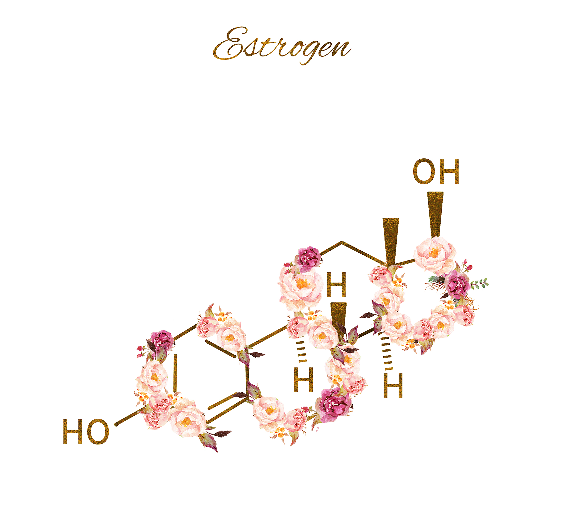 Estrogen